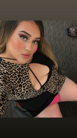 KIMBELLA LATINA