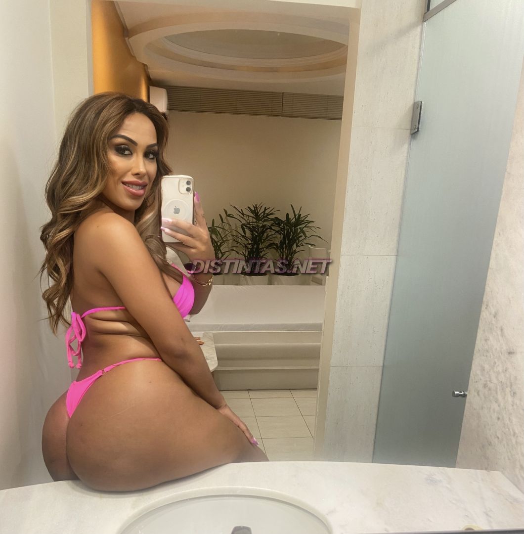 Isabella gaucha 