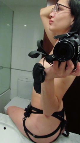 Bella trans 