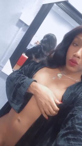 danyelis trans