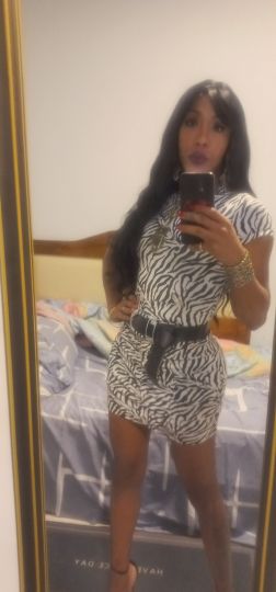danyelis trans
