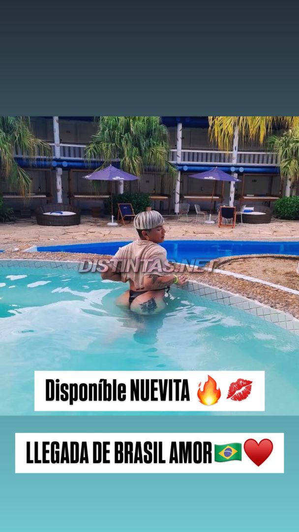 Violeta Q