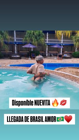 Violeta Q
