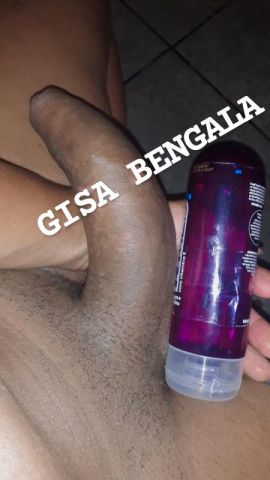 Gisa Bengala