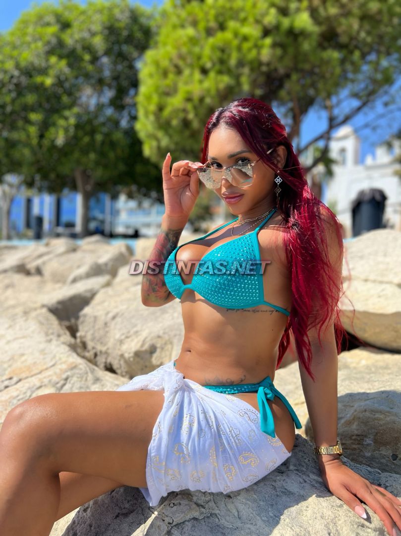 Bratz Doll Latin