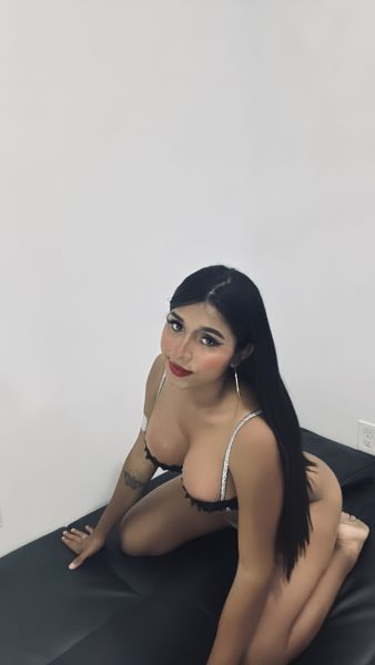 Latin trans girl with brown skin, very beautiful, rich tits 💰 willing to please your dirtiest desires, I have a nice and private space, I love parties 😍 expensive gifts and money 
19 años latina morena hermosa alta 💝,de lindo olor piel suave y muy femenina 
Solo contesto whasapp 