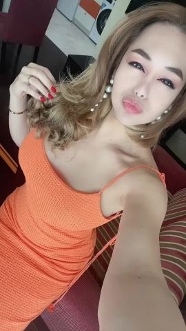 TS DIANNE
