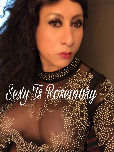hi gentlemen I am hot Transsexual Rosemary versatile fully functional never been on hormones very hard uncut candy 7.5” if you want great time let me know 😋 English and   Spanish 630 5967944