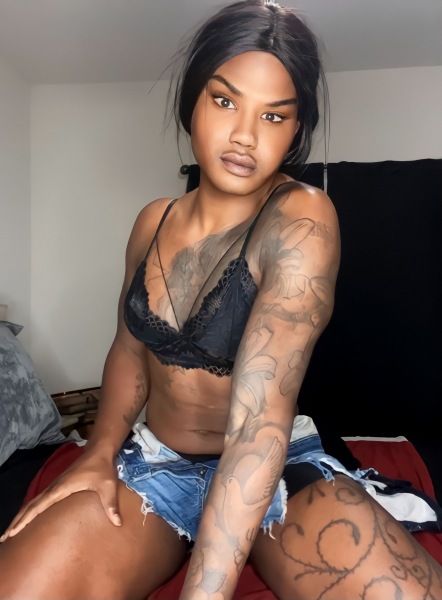 Hi guys! Britney here. I am a Jamaican Crossdresser. I stand 6'6 with 8"  of fully functional fun.  

Contact me for an unforgettable experience!  

Dominating & Emasculating is my specialty!

I’m available for Incall ONLY  

Outcalls requires a deposit.  

YOUR PRIVACY IS MY TOP PRIORITY!