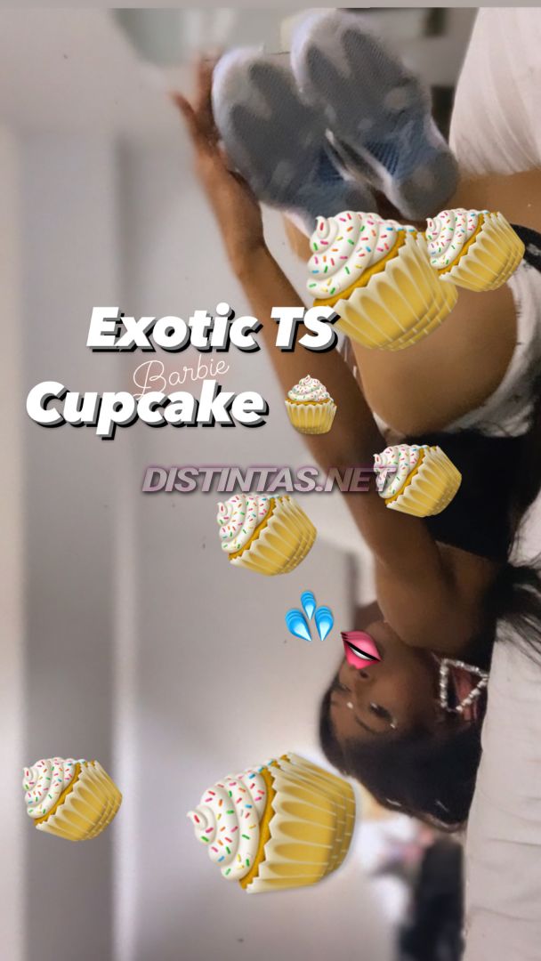 TS Cupcake