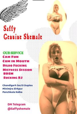 Saffy versatile shemale