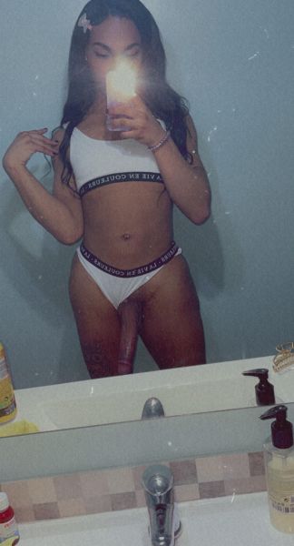 Hello, my name is Ebony and I am 23 years old. I am a friendly Young GIRL , who wants to make you enjoy a great experience, you will not regret meeting me and I hope you fall in love. Beside me  you can enjoy a lot, my services are varied and complete, tongue kisses, duplexes, erotic massages, bridal treatment and much more. I assure you that it will be a pleasant experience and you will want to repeat it. I consider myself dominant, morbid, vicious and I am versatile(Active & Pasive

 Some of the things I can do:
 - Play as friends.
 - Massages.
 - Full night and travel companion.
 -  Relationship.
 - Sox feet.
 - Blowjobs.
 - Game of nipples.
 - Fetishes: Insulting and spitting, Hitting a Punch, Toy, Trampling.
 - Party
 - Trips.
 - Gifts.
 I will make you live a very good experience and, above all, I will make you enjoy it.