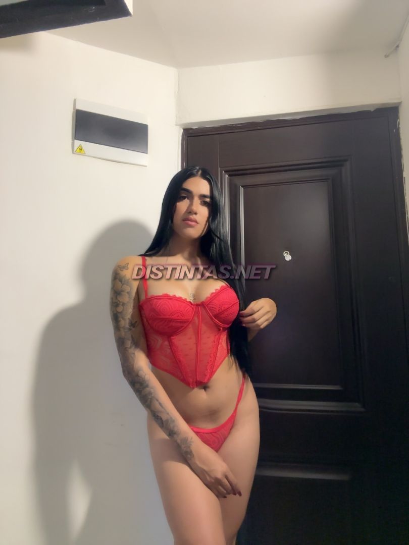 Alejandra labeba 