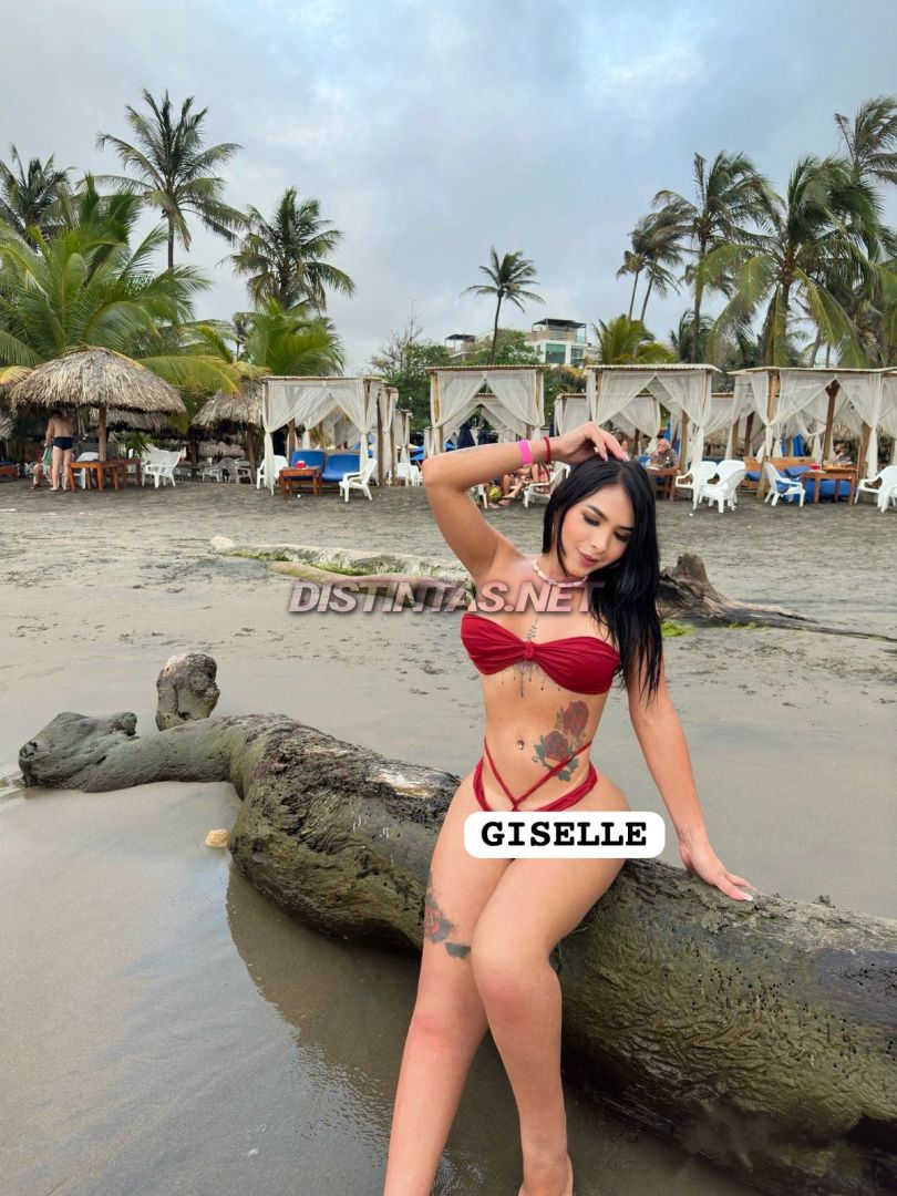 New Gisell Torres