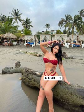 New Gisell Torres