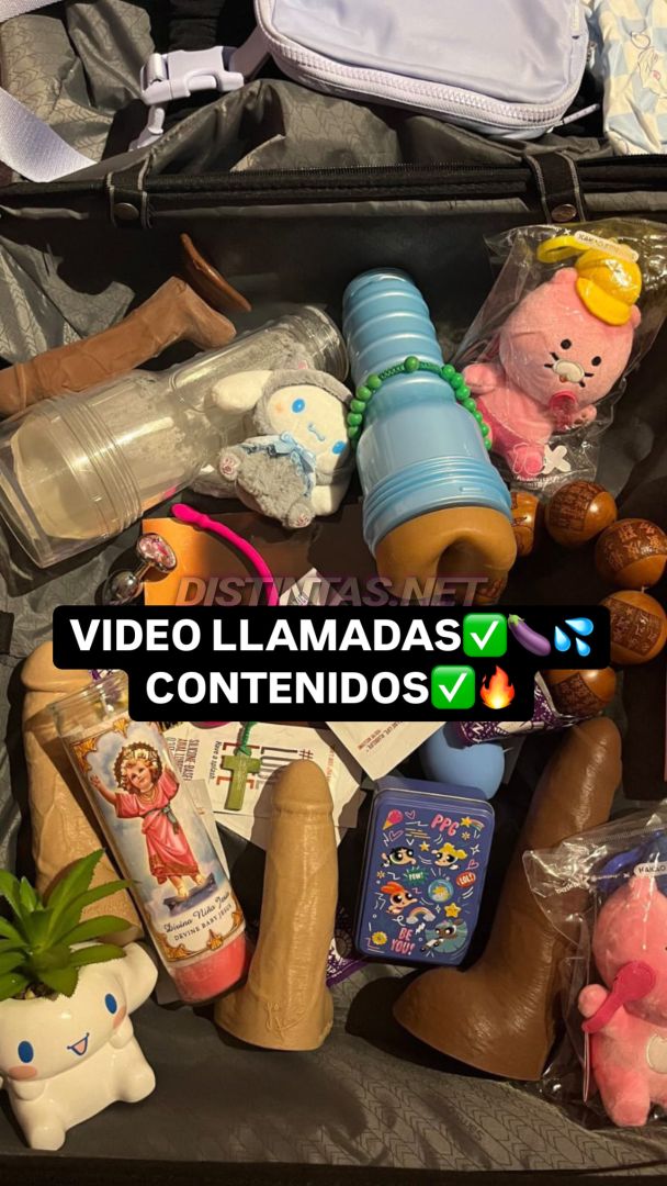 Daniela Gomez A