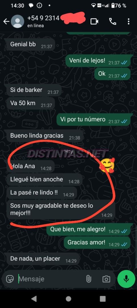 Analu Monteiro