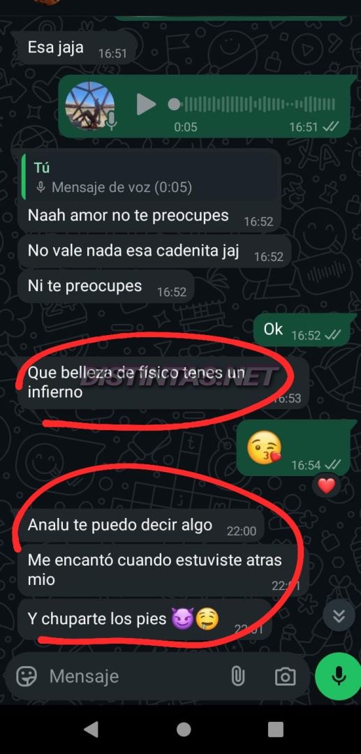 Analu Monteiro