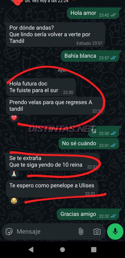 Analu Monteiro