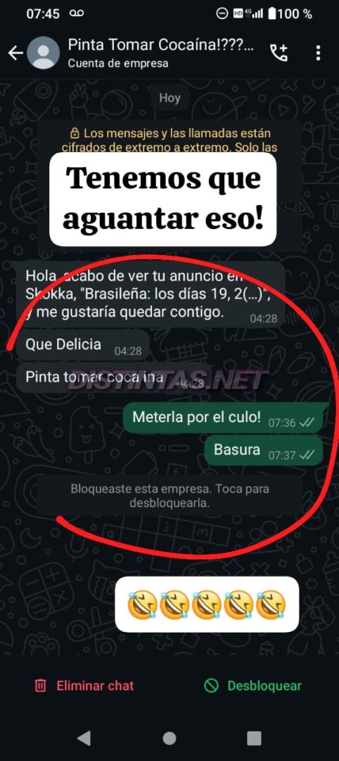 Analu Monteiro