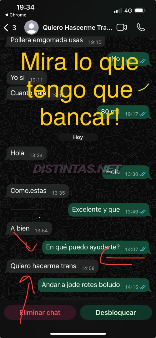 Analu Monteiro