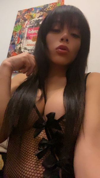 ✨ Hola, soy Ximena ✨

Una mujer trans mexicana encantadora, intensamente femenina y llena de una sensualidad que no se disfraza... se siente 💋

Mi energía es magnética, mi piel suave como un susurro, y mi cuerpo, esculpido con deseo, está listo para hacerte vivir momentos que no querrás olvidar 🔥

Me apasionan las conexiones reales, esas donde la complicidad se enciende con una mirada, y el placer se mezcla con respeto, ternura… y mucha picardía ✨

Conmigo, cada instante es una experiencia que combina elegancia, dulzura y ese toque provocador que te hará perder la noción del tiempo.

📲 ¿Te atreves a descubrir lo que puedo despertar en ti?

Déjate llevar… y prepárate para lo inolvidable.