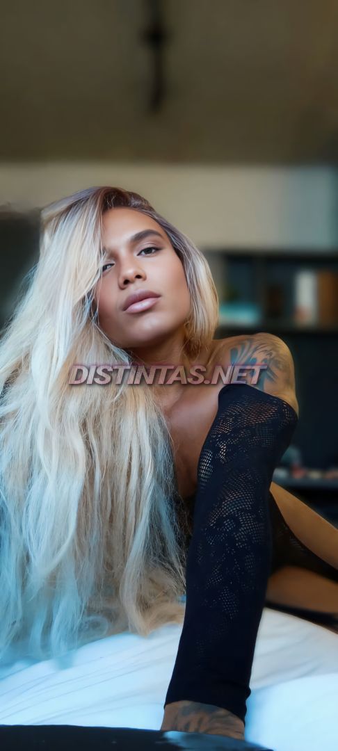 Thaynara Brasil XXL