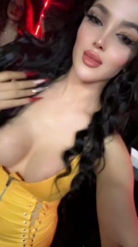  Haifa