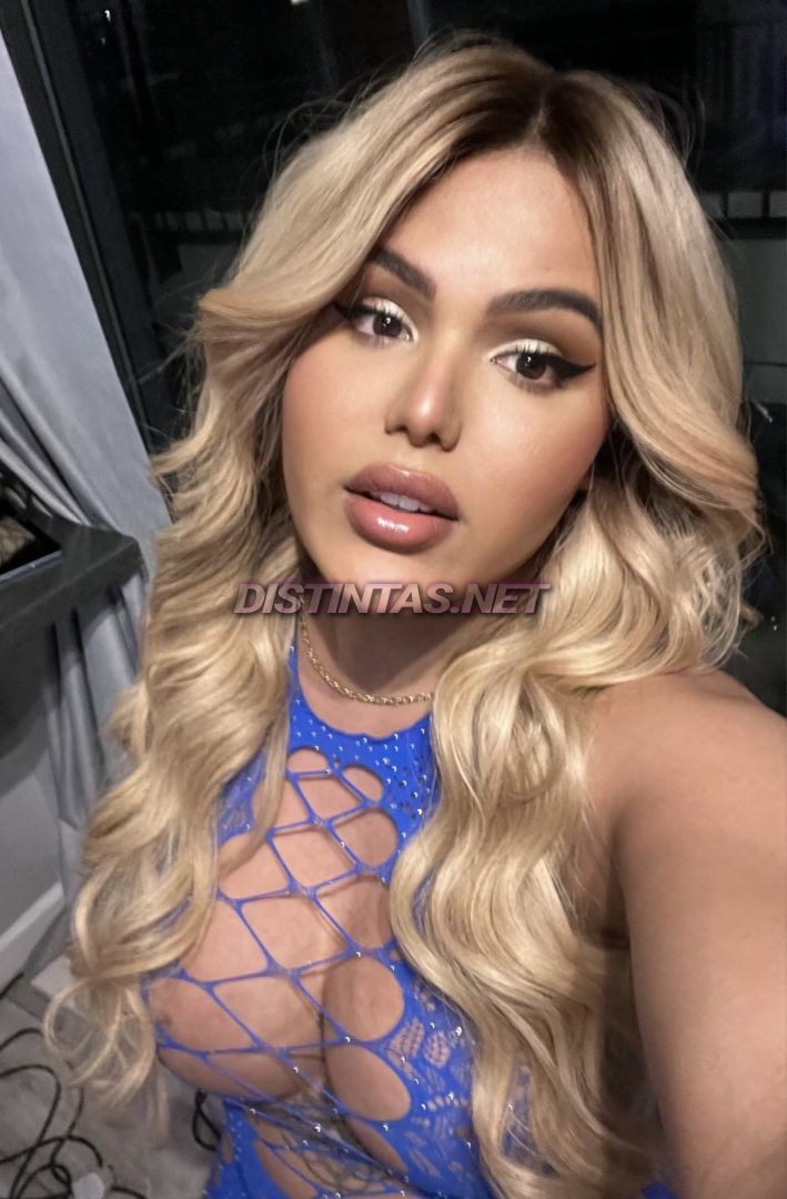 Heynicolebr