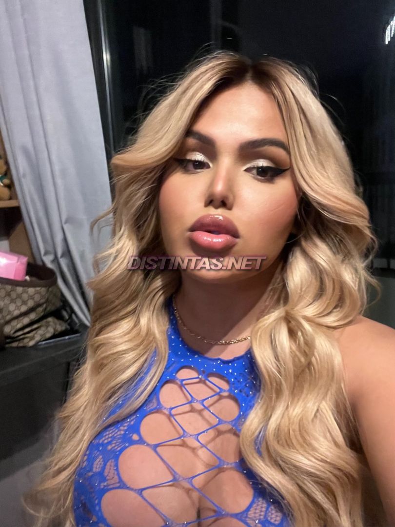 Heynicolebr