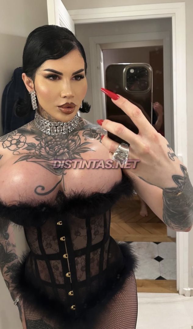Ava Model Francaise 