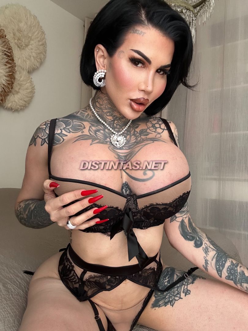 Ava Model Francaise 