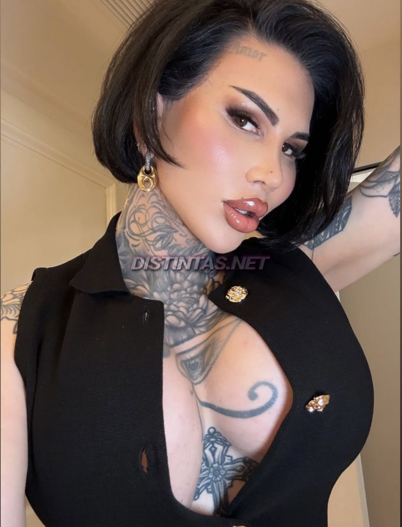 Ava Model Francaise 