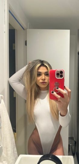 Mel trans 