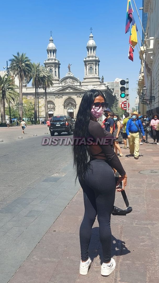 Alezca Sanguinetti