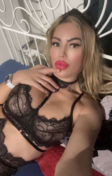 Hola soy melani una hermosa Latina, extrovertida, con un cuerpo muy bonito y muy manejable. Soy muy complaciente, dispuesta y muy enroyada

