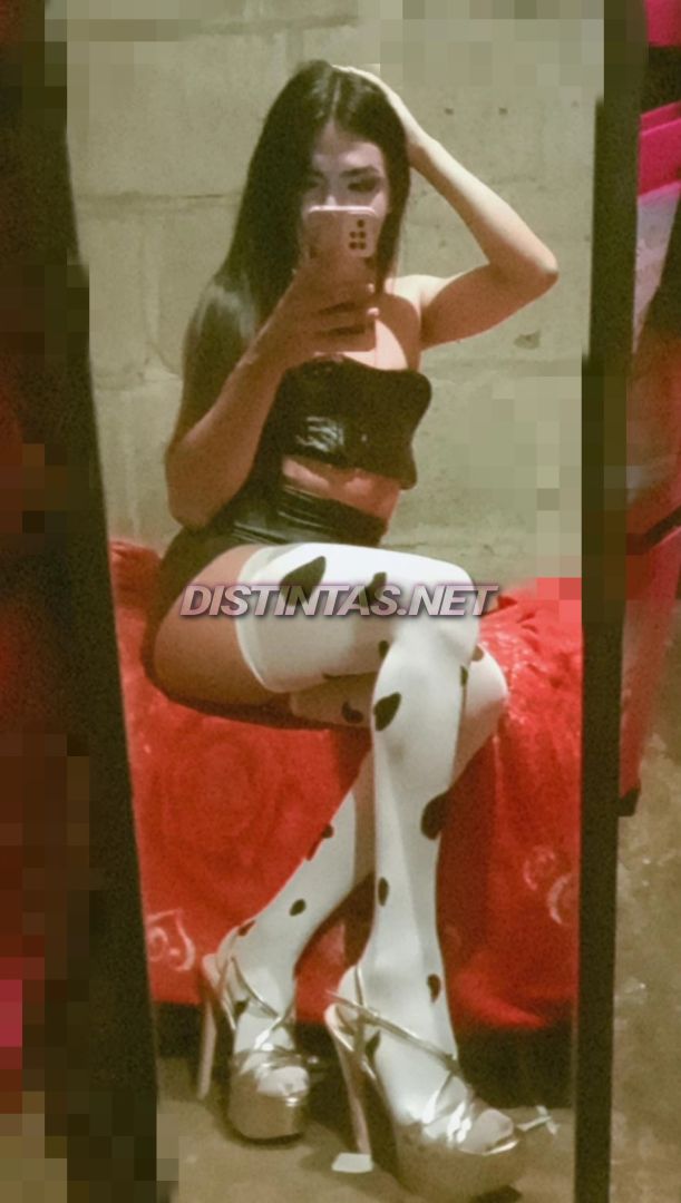 Gatita