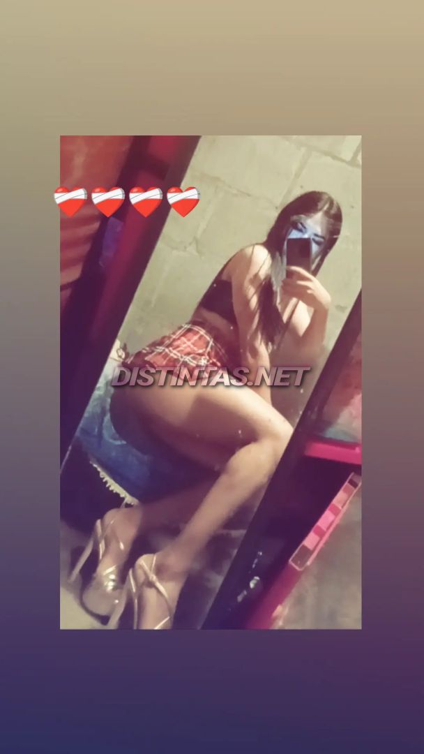 Gatita