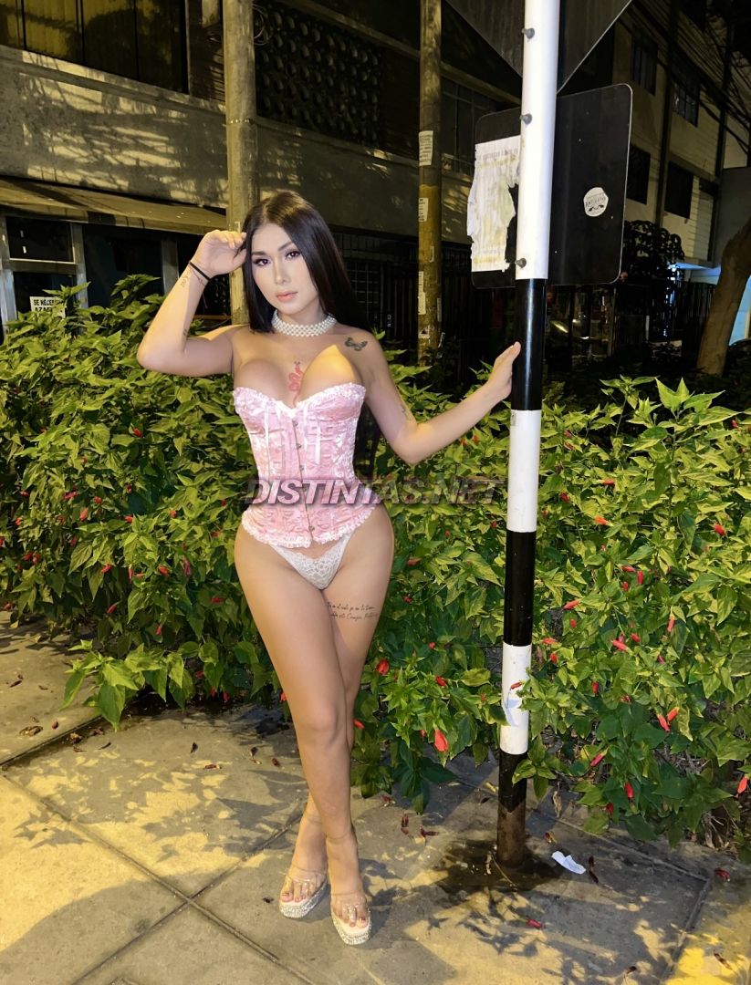Miranda Rojas 