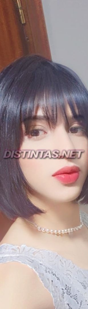 Mimo