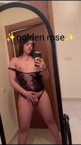 Golden Rose 