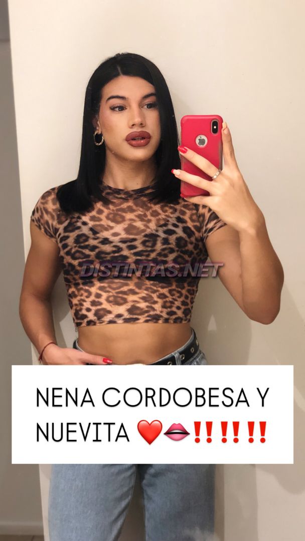 Roxi Co