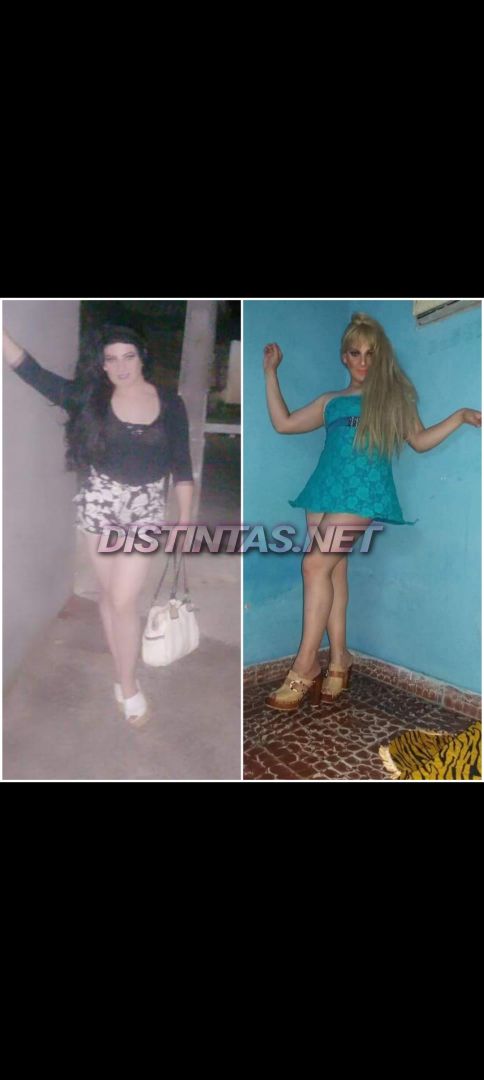 Antonela trans