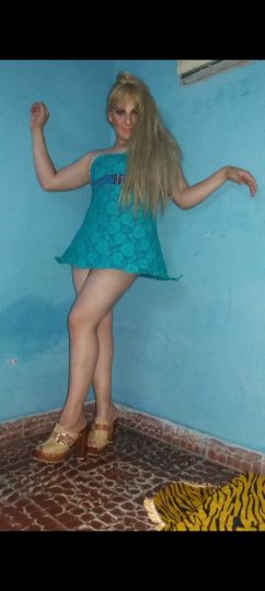 Antonela trans