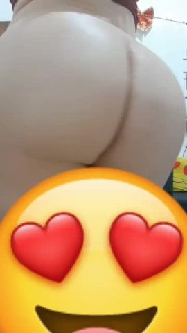 Antonela trans