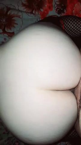 Antonela trans