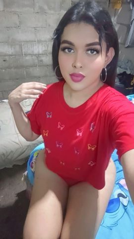 Dome Bing