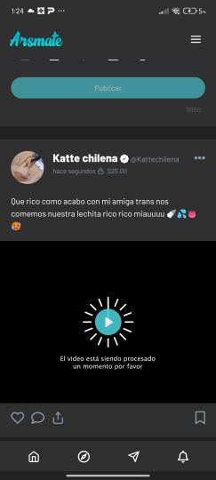 katte chilena