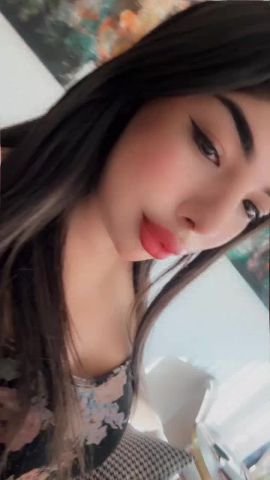 Yaqout 