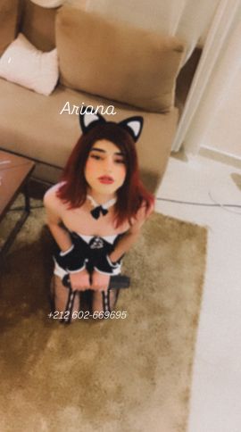 Ariana Moroccan 
